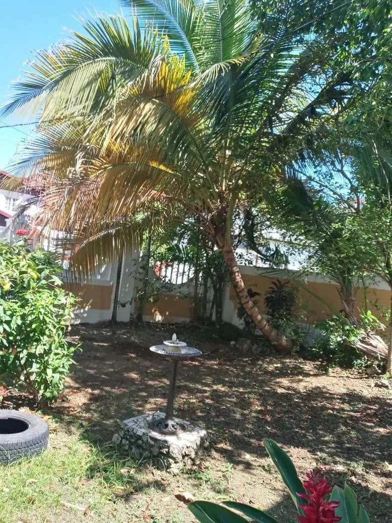 Mumatt Guest House Port Antonio Villa